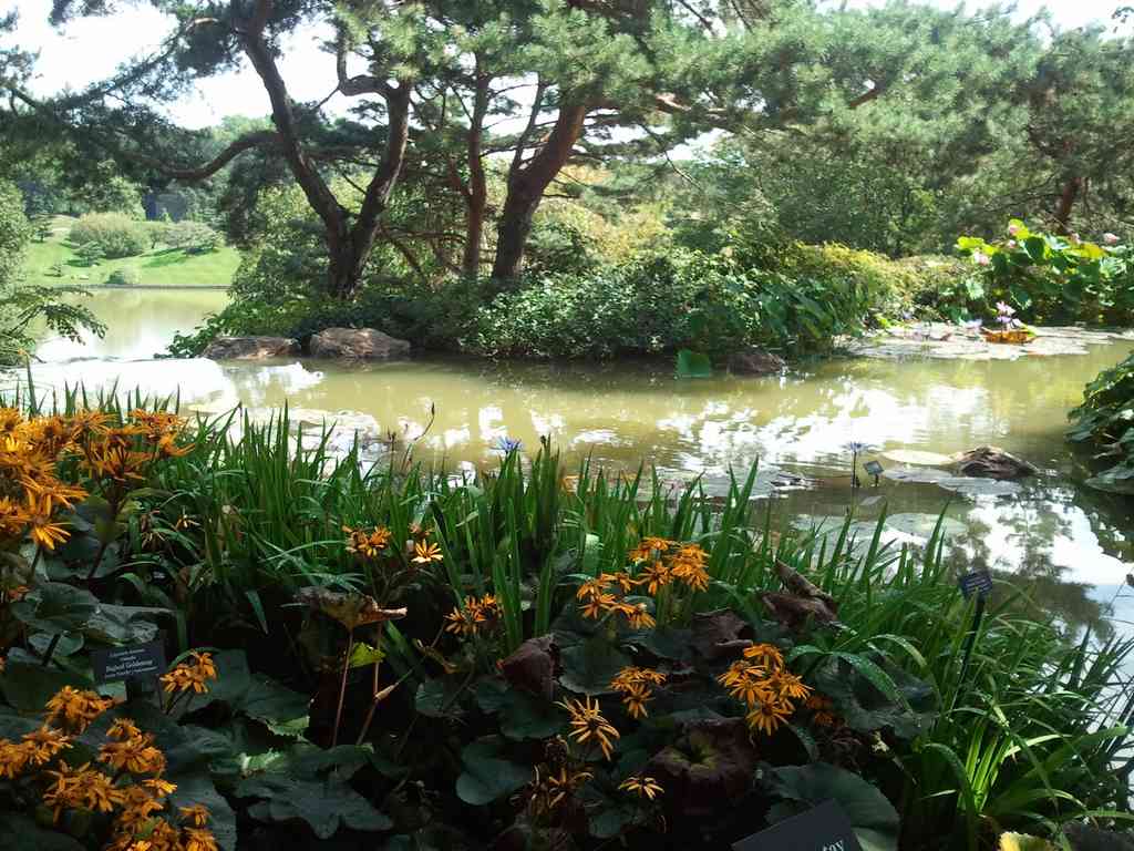 A man-made river flowing through the gardens.