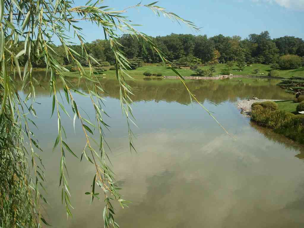 The pond/lake around the island the Japanese garden was on.