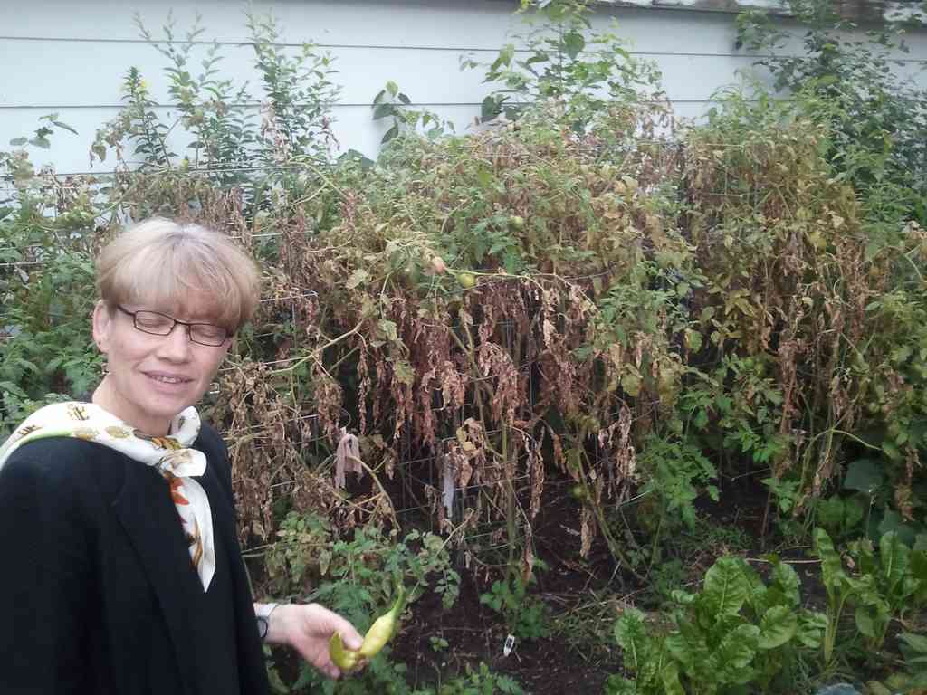 Cousin Karen in Uncle Eddy's garden. This is late Fall, so the tomato plants are beginning to die.