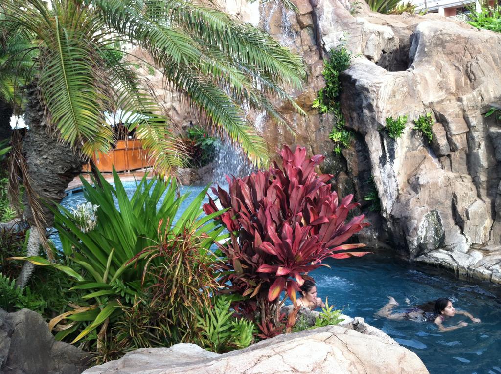 A small segment of the lazy river.