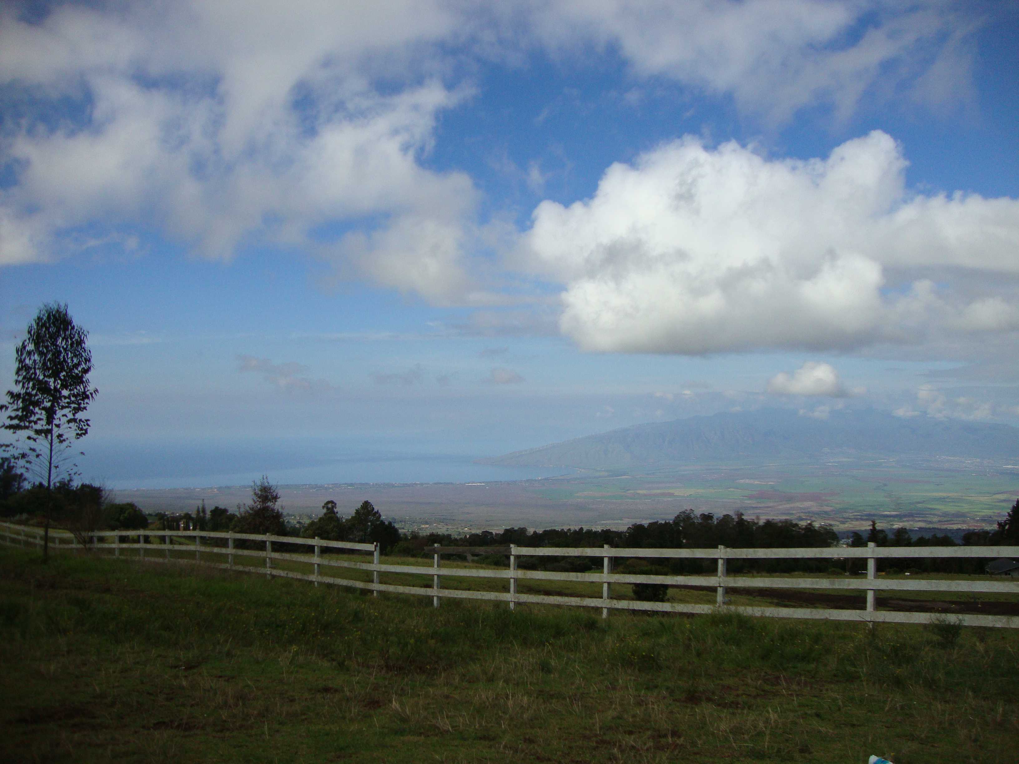 On the way up the mountain, we were treated to many gorgeous views of the valley. This view looks South-West and shows the valley between East and West Maui. On the left is the city of Kihei.