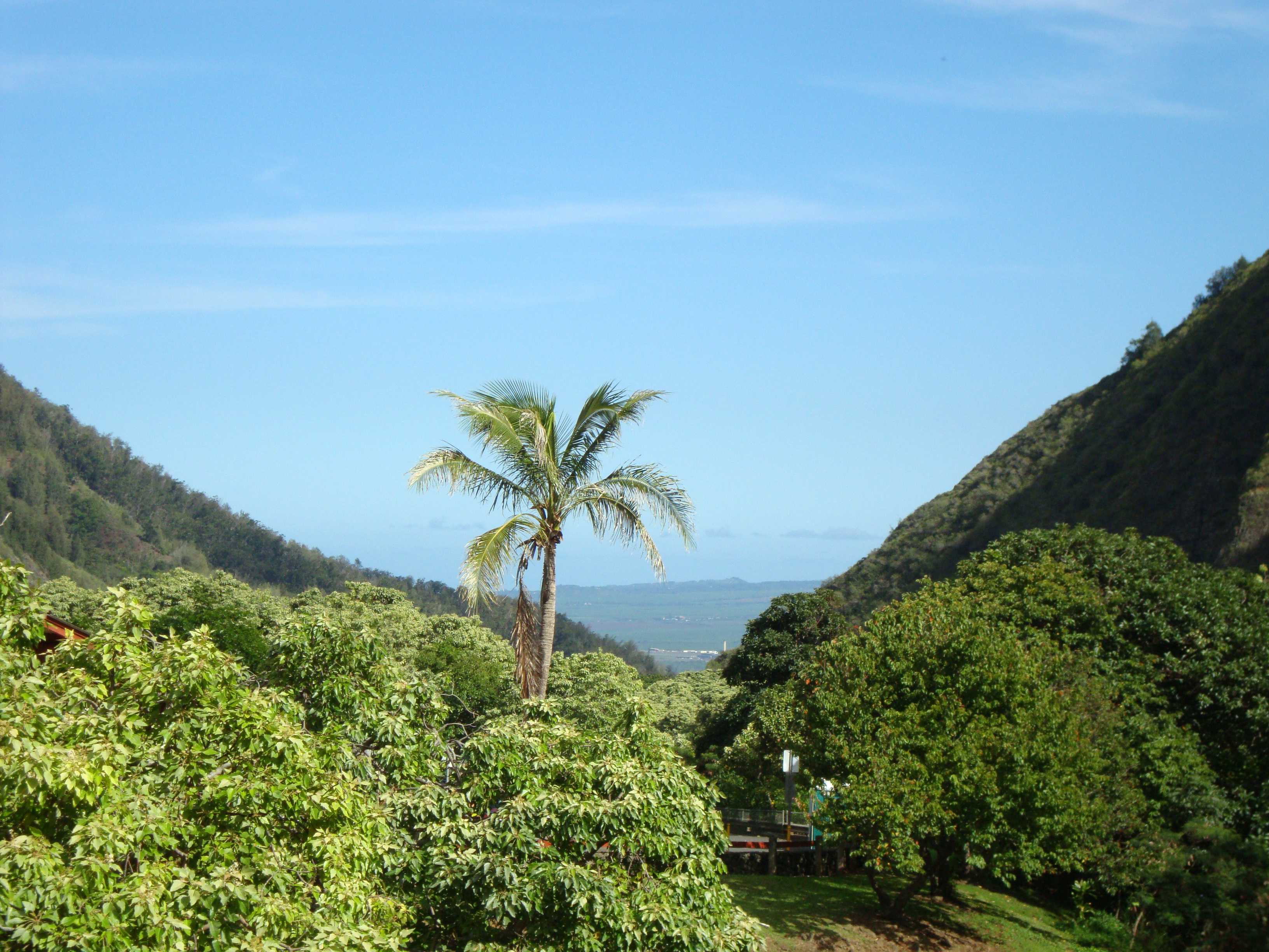 The view from one of the upper levels in the valley looking out to sea.