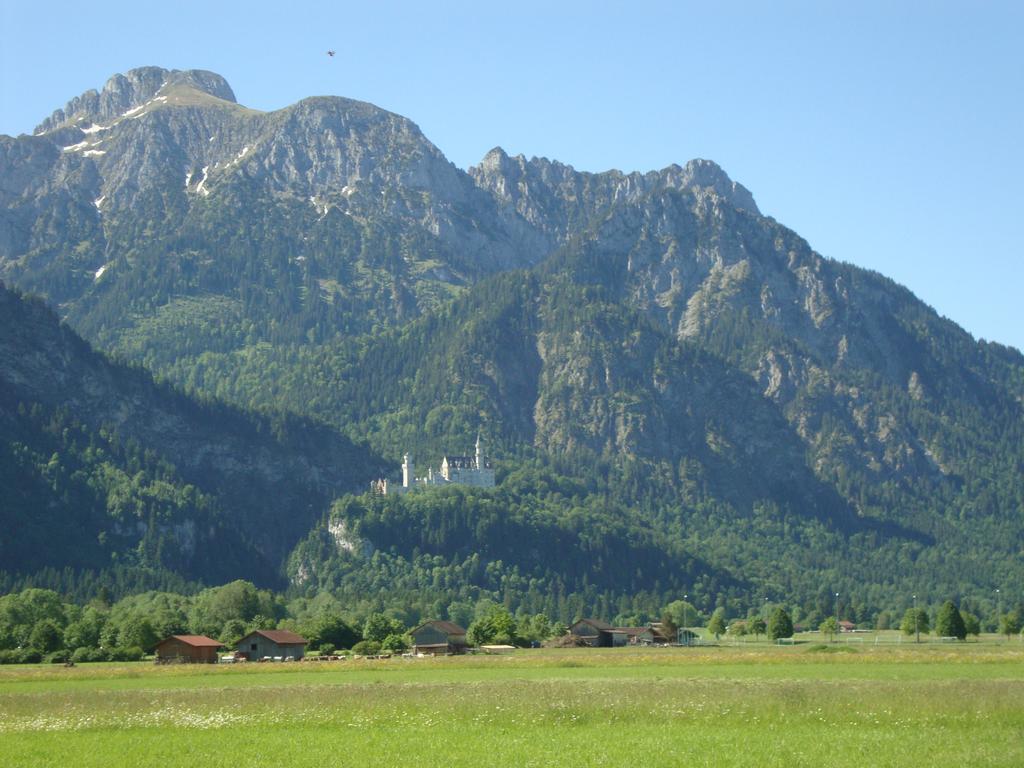 Neuschwanstein castle looming in the background.
