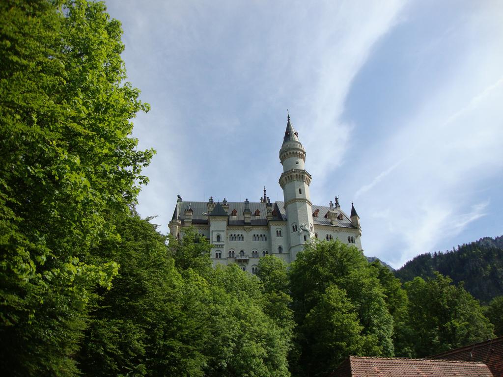 Approaching the massive castle from the winding forest road.