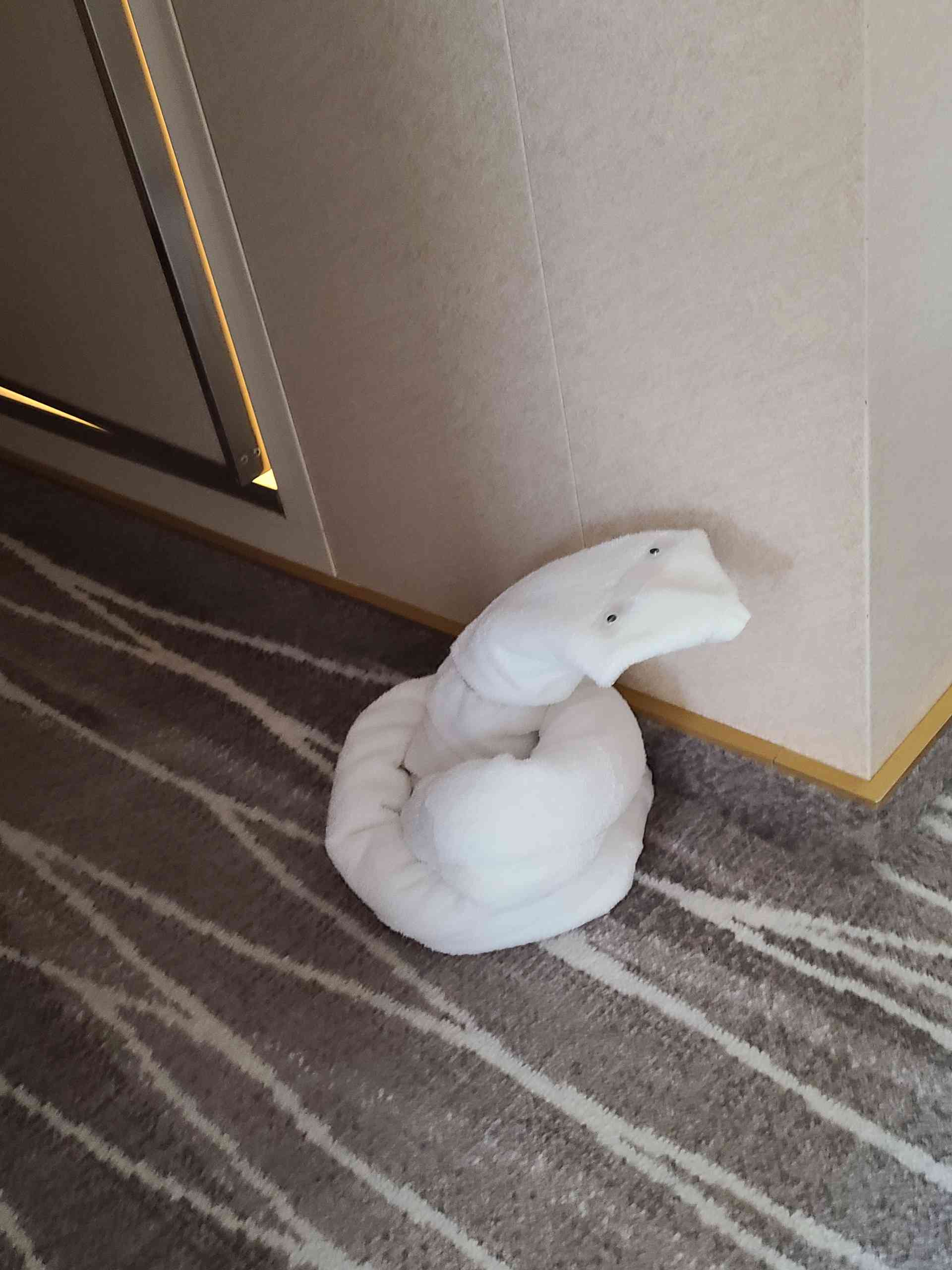 One day we walked in and were greeted by a SNAKE guarding the bathroom!