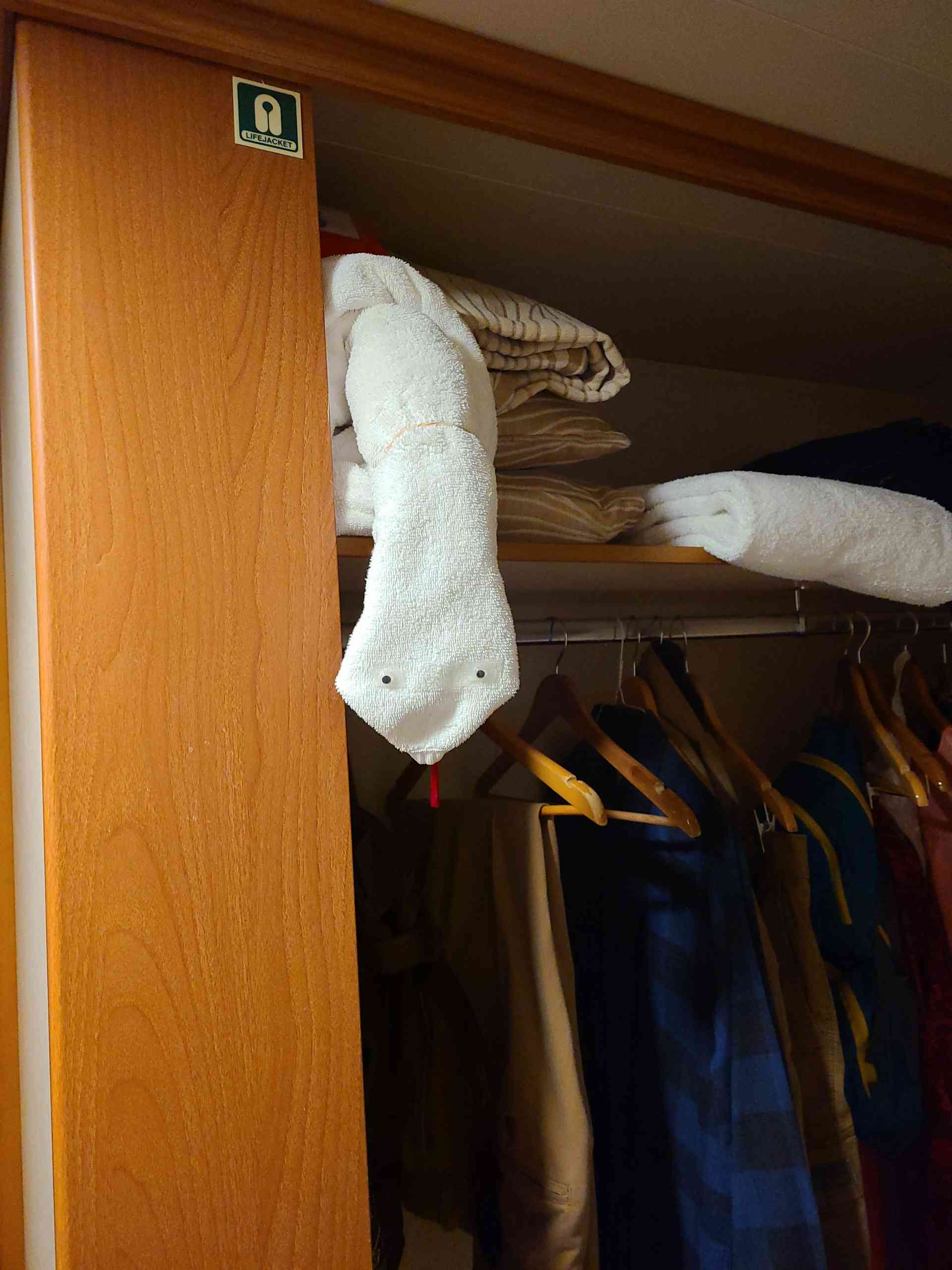 This snake slithered all over the room! We found him on the closet shelf, sneaking under the bed, and hanging by the window. Joemar warned us to look out for 'dangerous' animals!