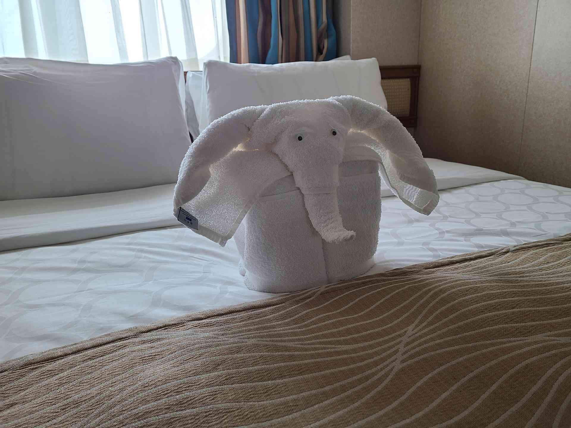 An elephant!