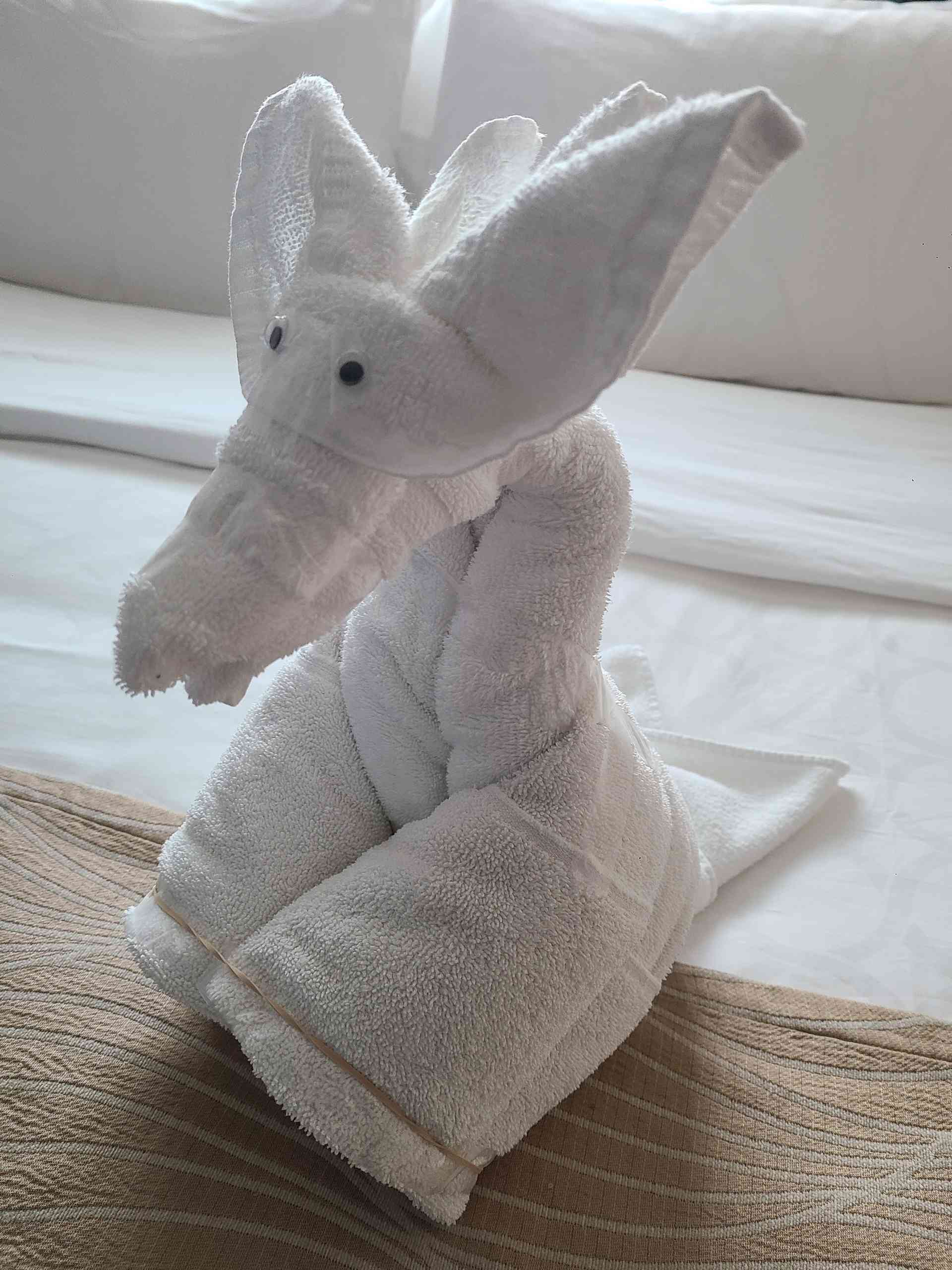 An aardvark.