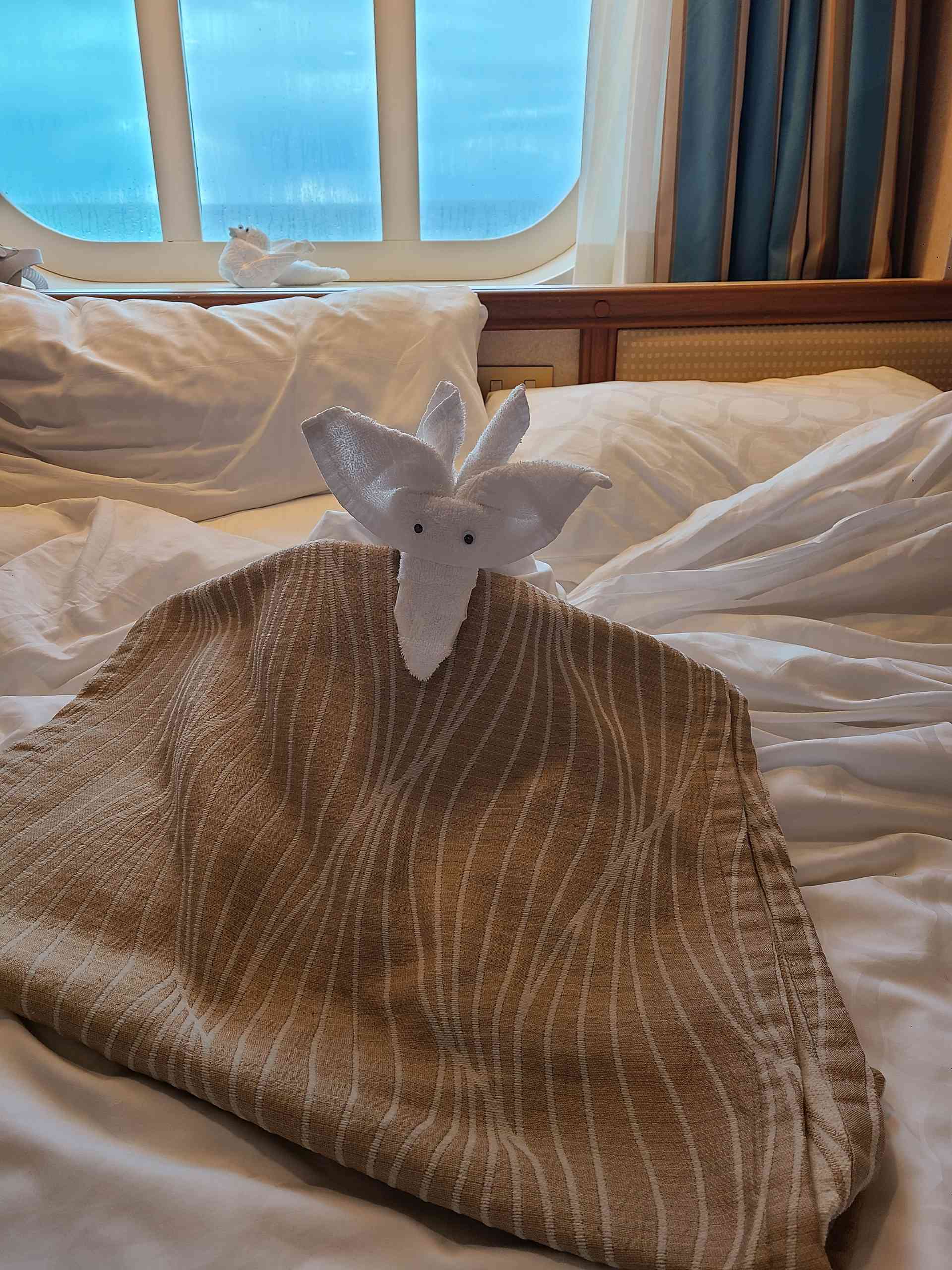 The aardvark peeking out from under the covers!