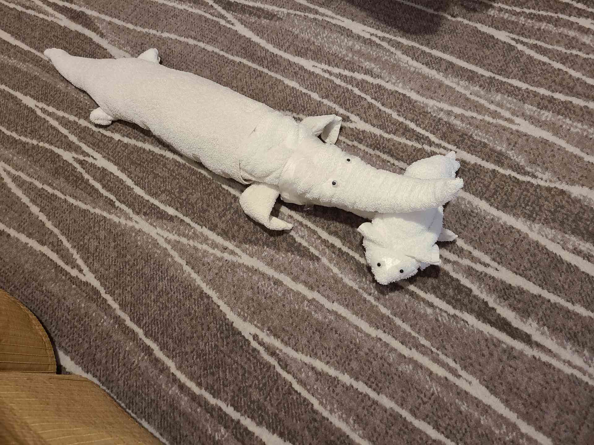 The crocodile waiting to eat Jerry the mouse!