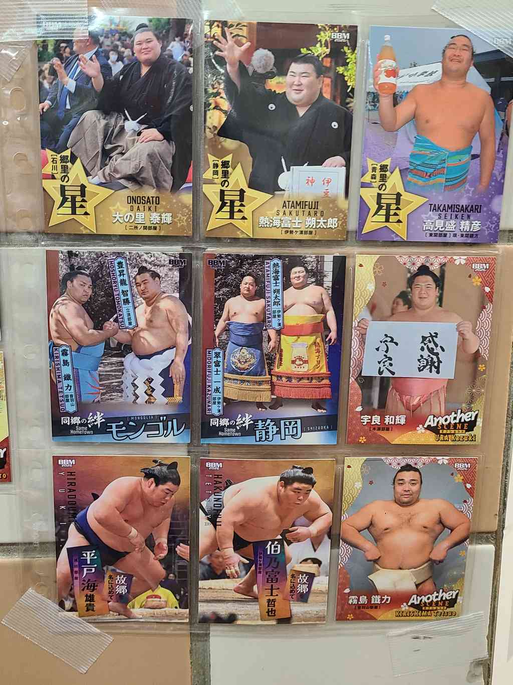 Every single wrestler had a collectible magnet for sale.