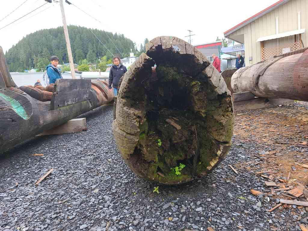The biggest problem for the longevity of a totem pole is the base rotting out. Many totem poles have a replaceable base to extend their life.